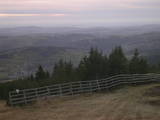 17 : 33