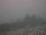 08 : 39