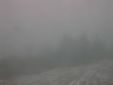 10 : 33