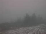 14 : 41