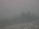 14 : 45