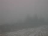 15 : 09