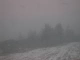 15 : 33