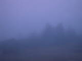 05 : 25