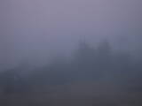 06 : 01