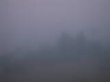 06 : 05