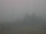 08 : 09
