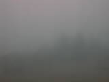 08 : 17