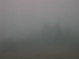 08 : 25