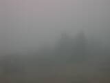 09 : 09