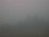 09 : 29