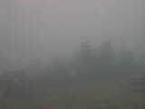 09 : 49