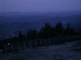 04 : 29