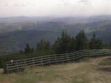 17 : 29