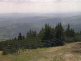15 : 17