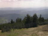 15 : 41