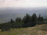 16 : 25