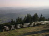 19 : 33