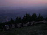 21 : 29