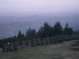 04 : 29