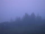 04 : 25