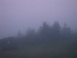 04 : 33