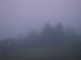 04 : 37