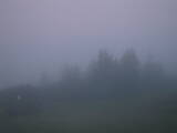 04 : 49