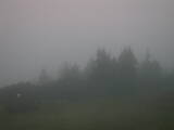 05 : 25