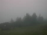 05 : 45