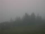 05 : 49
