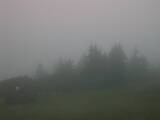 06 : 05
