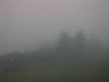 06 : 09