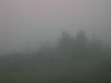 06 : 21