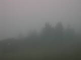 06 : 29