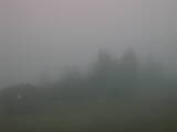 06 : 33