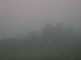 06 : 41
