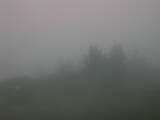 06 : 49
