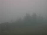 06 : 53
