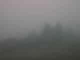 06 : 57