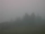 07 : 01