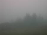 07 : 17