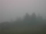 07 : 21