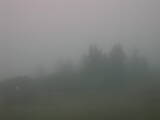 07 : 29