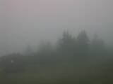 07 : 33