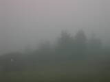 07 : 37