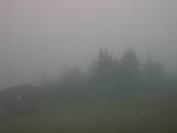 07 : 41