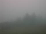 07 : 49