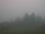 07 : 53