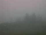 08 : 01